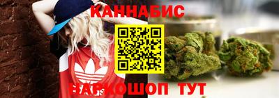 a pvp Свободный