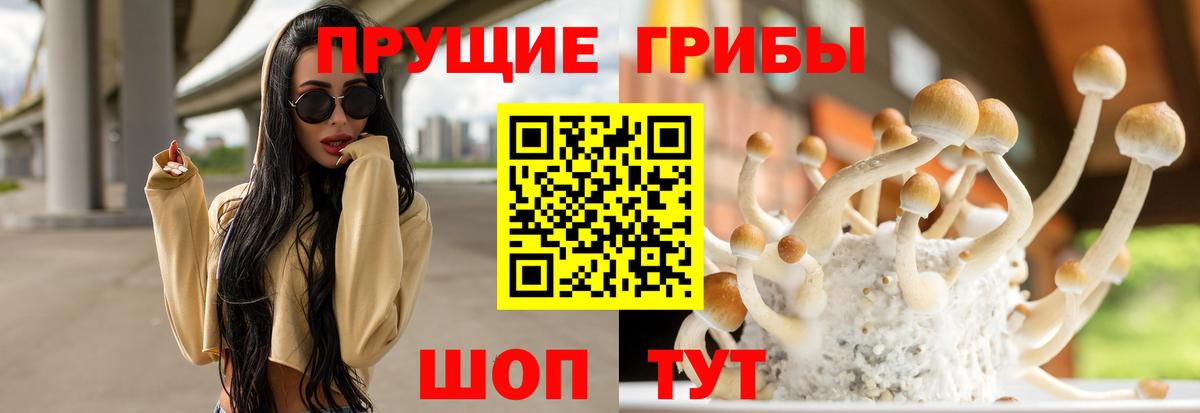 Омск  Псилоцибиновые грибы Cubensis  Галлюциногенные грибы Cubensis  Вход с VPN 